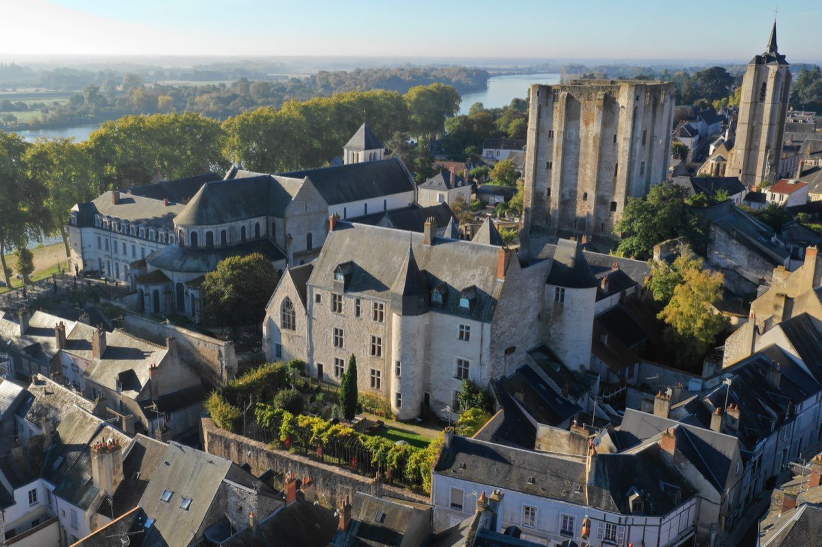 Le château de Beaugency et sa tour César vus depuis la Loire